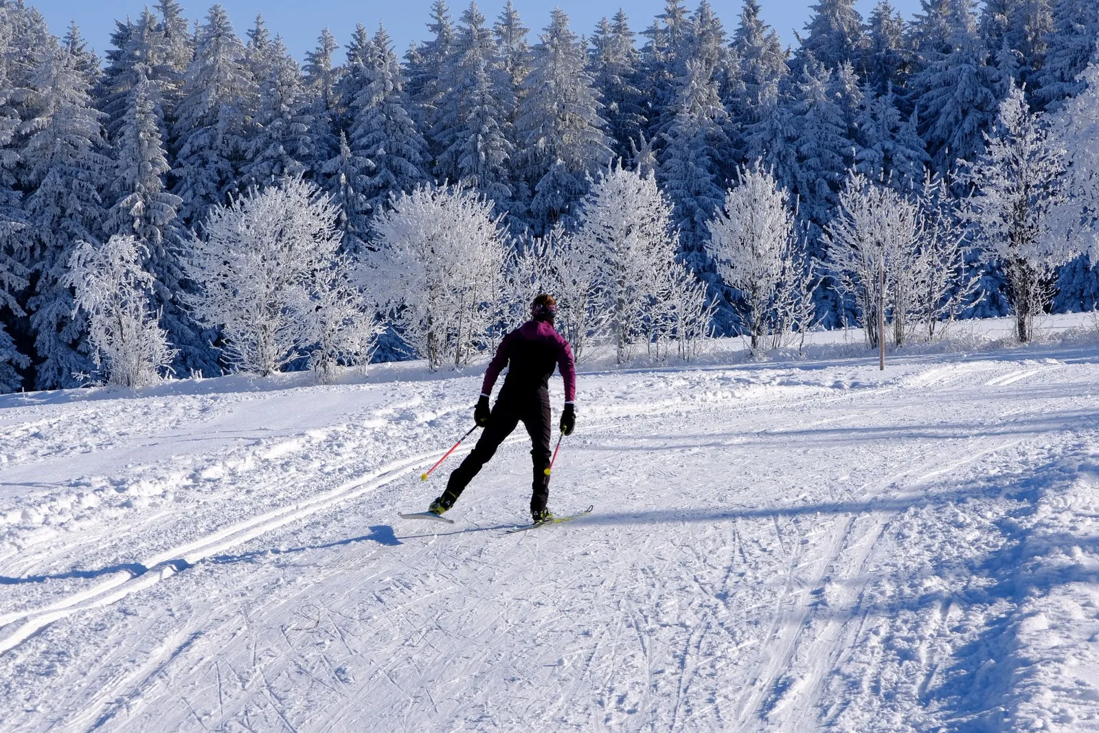 Hiihtäjä hiihtää ladulla lumisessa metsämaisemassa