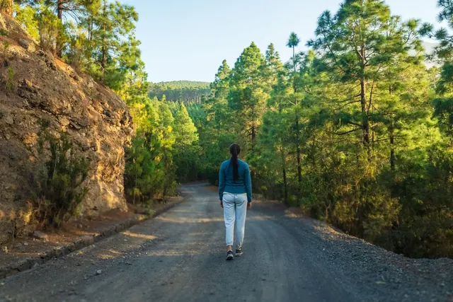 Kävelijä kulkee metsäisellä sorapolulla aurinkoisena päivänä