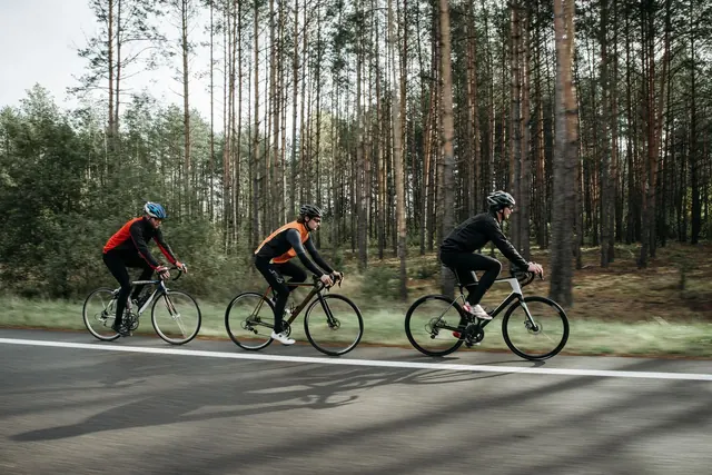 Kolme maantiepyöräilijää ajaa metsän reunustamaa tietä