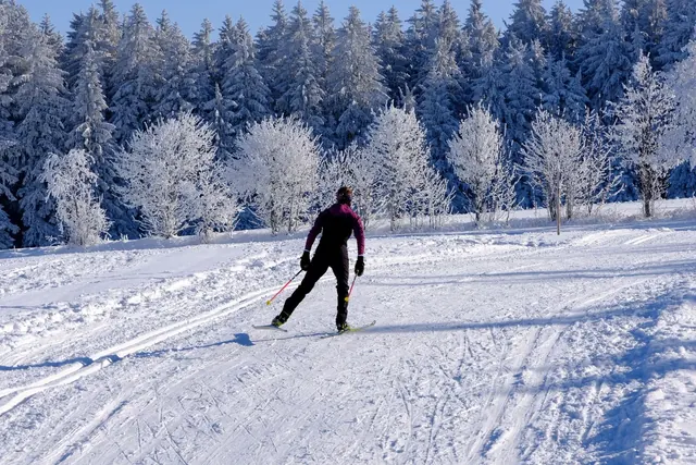 Hiihtäjä hiihtää ladulla lumisessa metsämaisemassa