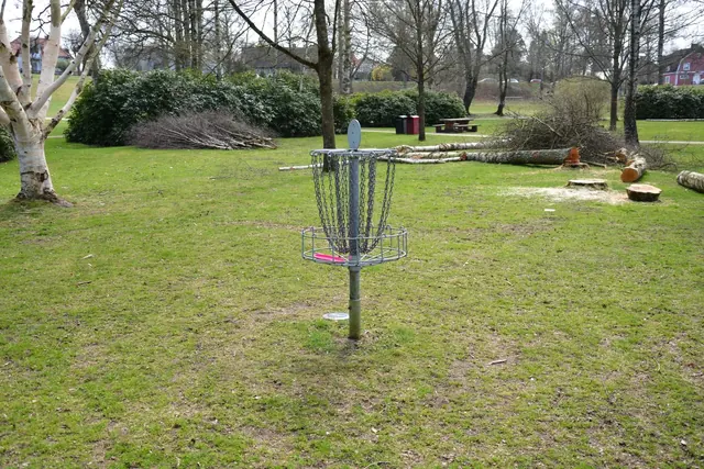 Frisbeegolfkori nurmikentällä puiston reunalla