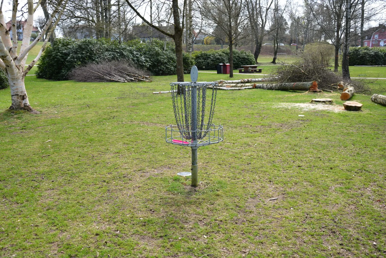 Frisbeegolfkori nurmikentällä puiston reunalla