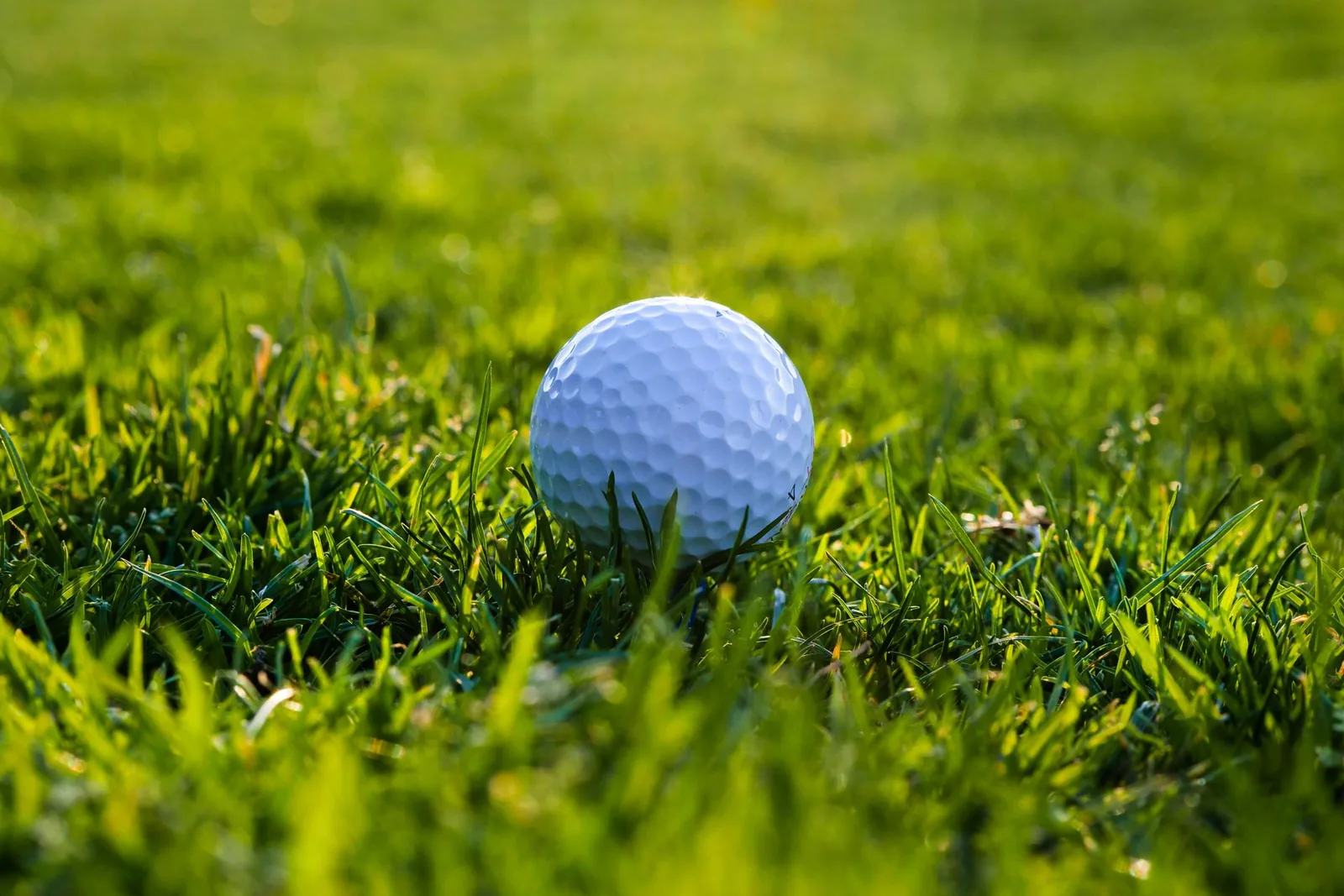 Golfpallo nurmikolla auringonvalossa lähikuvassa